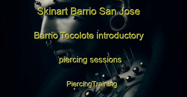 Skinart Barrio San Jose  Barrio Tecolote introductory piercing sessions | #PiercingTraining #PiercingClasses #SkinartTraining-Mexico