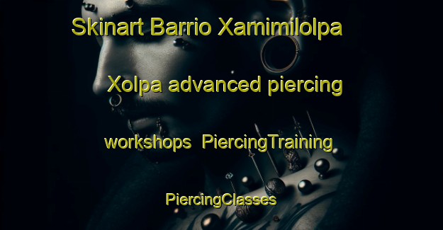 Skinart Barrio Xamimilolpa  Xolpa advanced piercing workshops | #PiercingTraining #PiercingClasses #SkinartTraining-Mexico