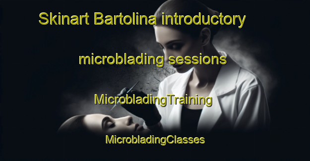 Skinart Bartolina introductory microblading sessions | #MicrobladingTraining #MicrobladingClasses #SkinartTraining-Mexico