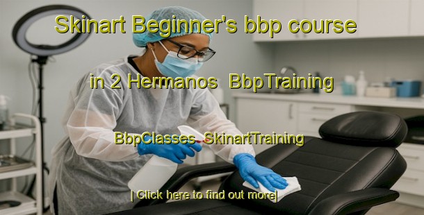 Skinart Beginner's bbp course in 2 Hermanos | BbpTraining | BbpClasses | SkinartTraining-Mexico
