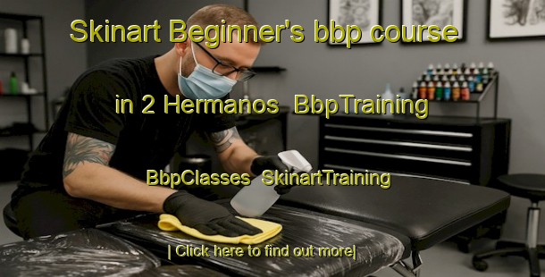 Skinart Beginner's bbp course in 2 Hermanos | BbpTraining | BbpClasses | SkinartTraining-Mexico