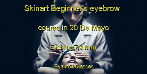 Skinart Beginner's eyebrow course in 20 De Mayo | EyebrowTraining | EyebrowClasses | SkinartTraining-Mexico