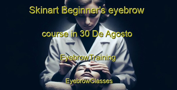 Skinart Beginner's eyebrow course in 30 De Agosto | EyebrowTraining | EyebrowClasses | SkinartTraining-Mexico