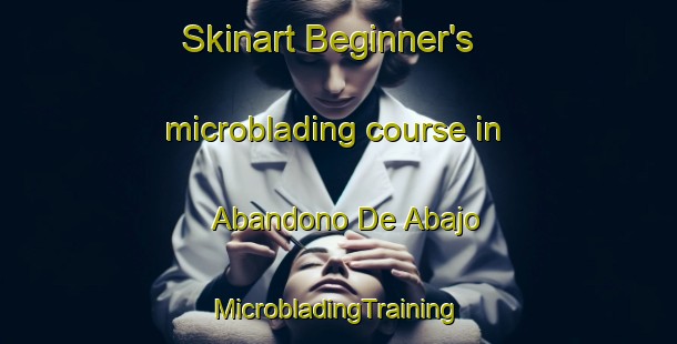 Skinart Beginner's microblading course in Abandono De Abajo | #MicrobladingTraining #MicrobladingClasses #SkinartTraining-Mexico