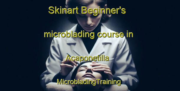 Skinart Beginner's microblading course in Acaponetilla | #MicrobladingTraining #MicrobladingClasses #SkinartTraining-Mexico