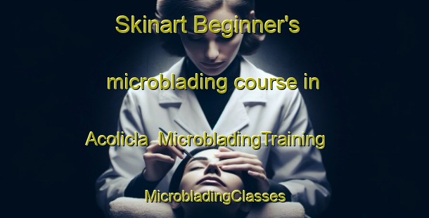 Skinart Beginner's microblading course in Acolicla | #MicrobladingTraining #MicrobladingClasses #SkinartTraining-Mexico