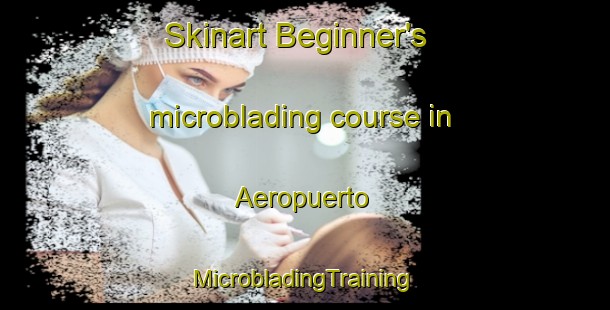 Skinart Beginner's microblading course in Aeropuerto | #MicrobladingTraining #MicrobladingClasses #SkinartTraining-Mexico