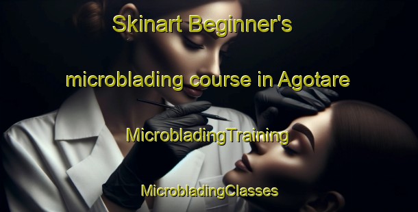 Skinart Beginner's microblading course in Agotare | #MicrobladingTraining #MicrobladingClasses #SkinartTraining-Mexico