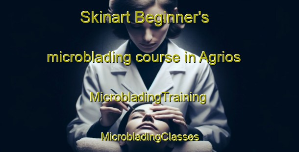 Skinart Beginner's microblading course in Agrios | #MicrobladingTraining #MicrobladingClasses #SkinartTraining-Mexico