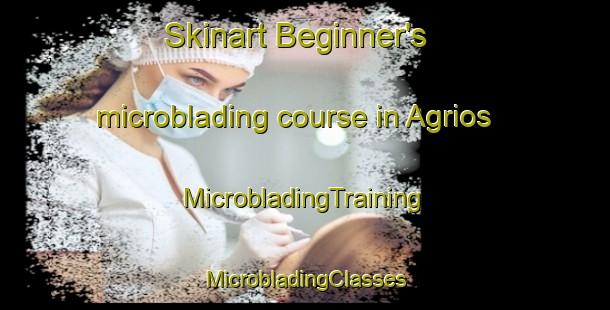 Skinart Beginner's microblading course in Agrios | #MicrobladingTraining #MicrobladingClasses #SkinartTraining-Mexico