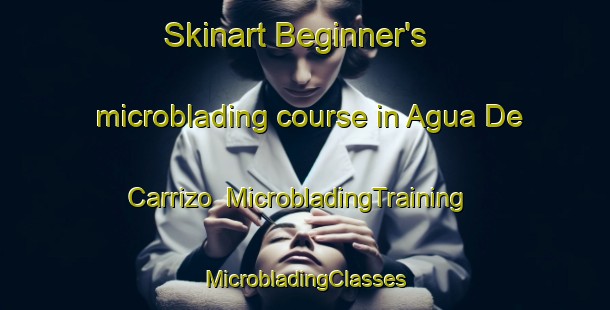 Skinart Beginner's microblading course in Agua De Carrizo | #MicrobladingTraining #MicrobladingClasses #SkinartTraining-Mexico