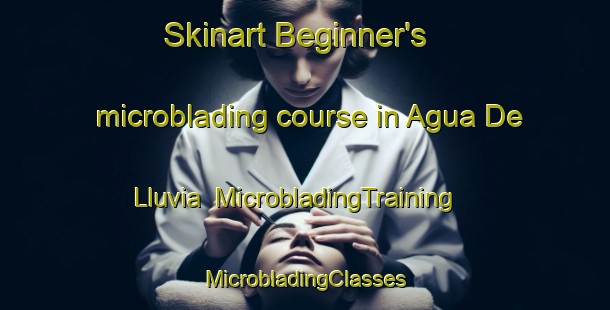 Skinart Beginner's microblading course in Agua De Lluvia | #MicrobladingTraining #MicrobladingClasses #SkinartTraining-Mexico