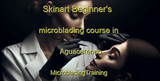 Skinart Beginner's microblading course in Aguacatenco | #MicrobladingTraining #MicrobladingClasses #SkinartTraining-Mexico