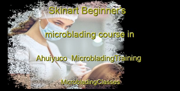 Skinart Beginner's microblading course in Ahuiyuco | #MicrobladingTraining #MicrobladingClasses #SkinartTraining-Mexico