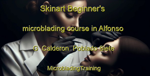 Skinart Beginner's microblading course in Alfonso G  Calderon  Poblado Siete | #MicrobladingTraining #MicrobladingClasses #SkinartTraining-Mexico