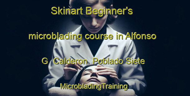 Skinart Beginner's microblading course in Alfonso G  Calderon  Poblado Siete | #MicrobladingTraining #MicrobladingClasses #SkinartTraining-Mexico