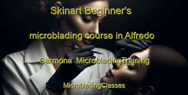 Skinart Beginner's microblading course in Alfredo Carmona | #MicrobladingTraining #MicrobladingClasses #SkinartTraining-Mexico