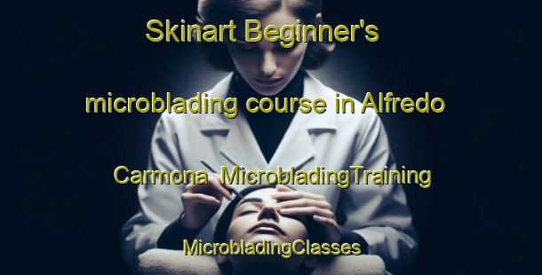 Skinart Beginner's microblading course in Alfredo Carmona | #MicrobladingTraining #MicrobladingClasses #SkinartTraining-Mexico