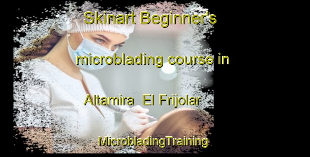 Skinart Beginner's microblading course in Altamira  El Frijolar | #MicrobladingTraining #MicrobladingClasses #SkinartTraining-Mexico