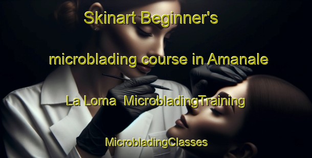 Skinart Beginner's microblading course in Amanale  La Loma | #MicrobladingTraining #MicrobladingClasses #SkinartTraining-Mexico