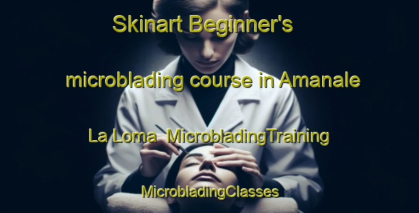 Skinart Beginner's microblading course in Amanale  La Loma | #MicrobladingTraining #MicrobladingClasses #SkinartTraining-Mexico