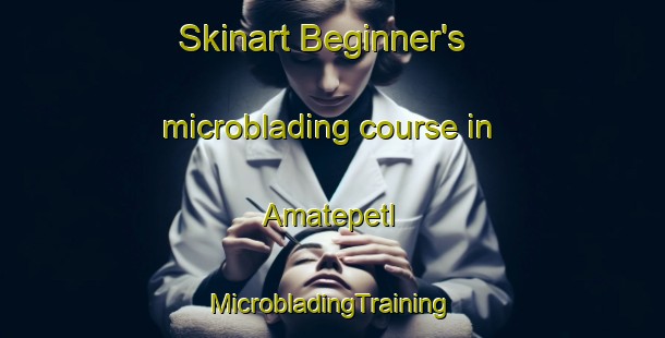 Skinart Beginner's microblading course in Amatepetl | #MicrobladingTraining #MicrobladingClasses #SkinartTraining-Mexico