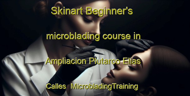 Skinart Beginner's microblading course in Ampliacion Plutarco Elias Calles | #MicrobladingTraining #MicrobladingClasses #SkinartTraining-Mexico