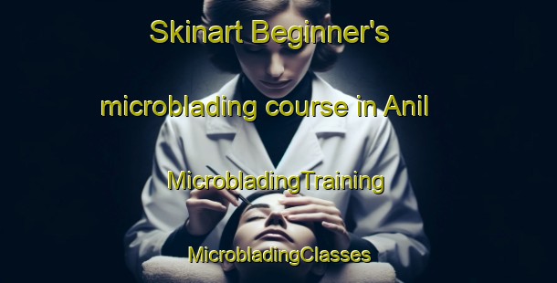 Skinart Beginner's microblading course in Anil | #MicrobladingTraining #MicrobladingClasses #SkinartTraining-Mexico