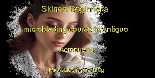 Skinart Beginner's microblading course in Antiguo Aeropuerto | #MicrobladingTraining #MicrobladingClasses #SkinartTraining-Mexico