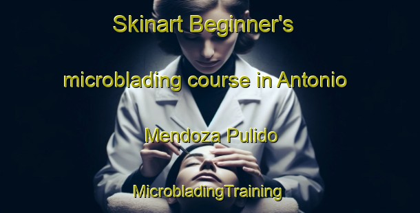 Skinart Beginner's microblading course in Antonio Mendoza Pulido | #MicrobladingTraining #MicrobladingClasses #SkinartTraining-Mexico