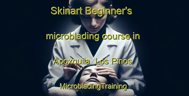 Skinart Beginner's microblading course in Apoxquila  Los Pinos | #MicrobladingTraining #MicrobladingClasses #SkinartTraining-Mexico