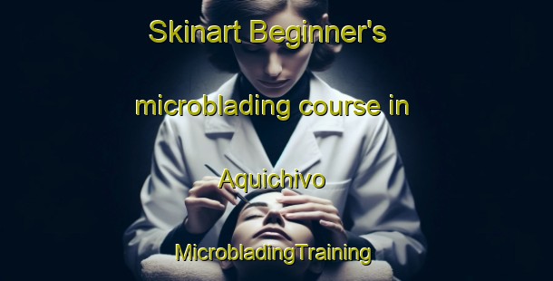 Skinart Beginner's microblading course in Aquichivo | #MicrobladingTraining #MicrobladingClasses #SkinartTraining-Mexico