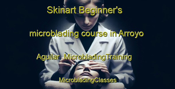 Skinart Beginner's microblading course in Arroyo Aguilar | #MicrobladingTraining #MicrobladingClasses #SkinartTraining-Mexico