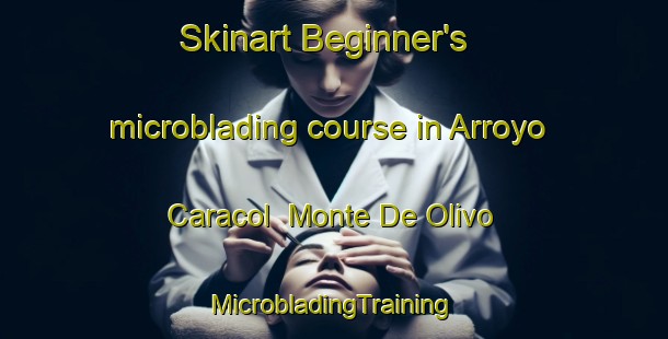 Skinart Beginner's microblading course in Arroyo Caracol  Monte De Olivo | #MicrobladingTraining #MicrobladingClasses #SkinartTraining-Mexico