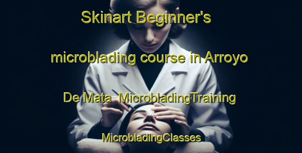 Skinart Beginner's microblading course in Arroyo De Mata | #MicrobladingTraining #MicrobladingClasses #SkinartTraining-Mexico