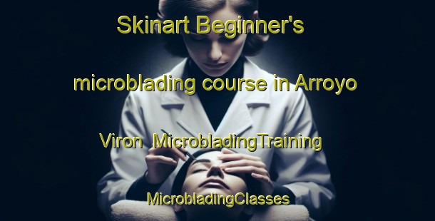 Skinart Beginner's microblading course in Arroyo Viron | #MicrobladingTraining #MicrobladingClasses #SkinartTraining-Mexico