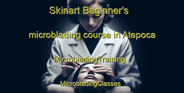 Skinart Beginner's microblading course in Atepoca | MicrobladingTraining | MicrobladingClasses | SkinartTraining-Mexico
