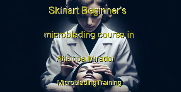 Skinart Beginner's microblading course in Atlaltipa Mirador | #MicrobladingTraining #MicrobladingClasses #SkinartTraining-Mexico