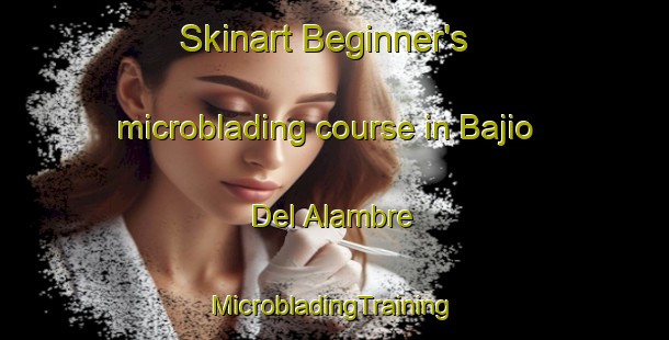 Skinart Beginner's microblading course in Bajio Del Alambre | #MicrobladingTraining #MicrobladingClasses #SkinartTraining-Mexico