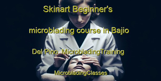 Skinart Beginner's microblading course in Bajio Del Pino | #MicrobladingTraining #MicrobladingClasses #SkinartTraining-Mexico