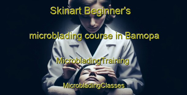 Skinart Beginner's microblading course in Bamopa | #MicrobladingTraining #MicrobladingClasses #SkinartTraining-Mexico