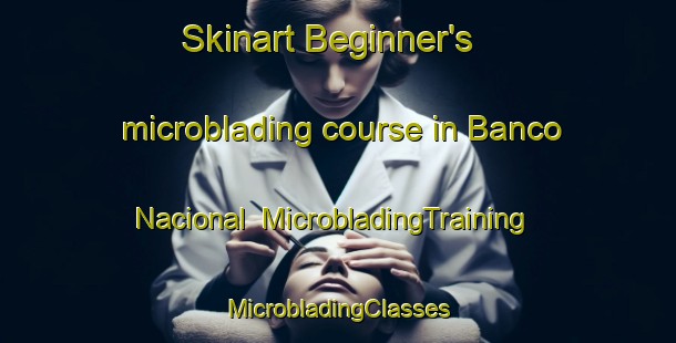 Skinart Beginner's microblading course in Banco Nacional | #MicrobladingTraining #MicrobladingClasses #SkinartTraining-Mexico