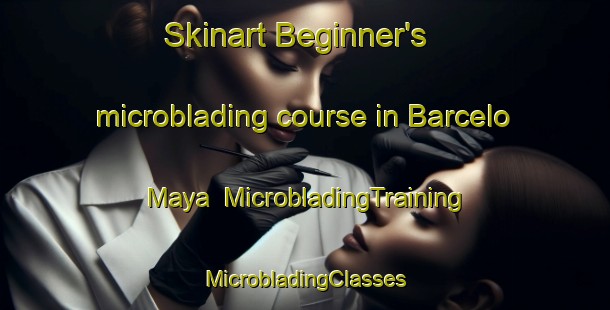 Skinart Beginner's microblading course in Barcelo Maya | #MicrobladingTraining #MicrobladingClasses #SkinartTraining-Mexico