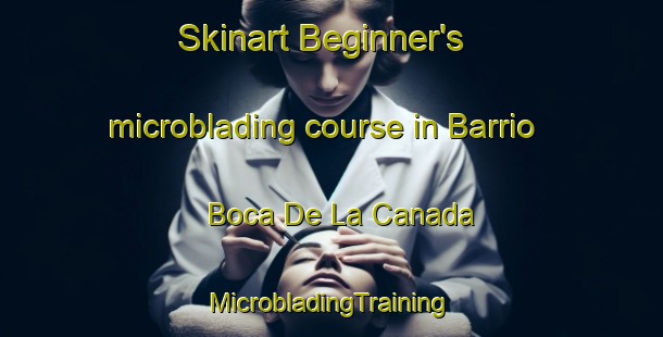 Skinart Beginner's microblading course in Barrio Boca De La Canada | #MicrobladingTraining #MicrobladingClasses #SkinartTraining-Mexico