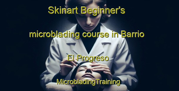 Skinart Beginner's microblading course in Barrio El Progreso | #MicrobladingTraining #MicrobladingClasses #SkinartTraining-Mexico