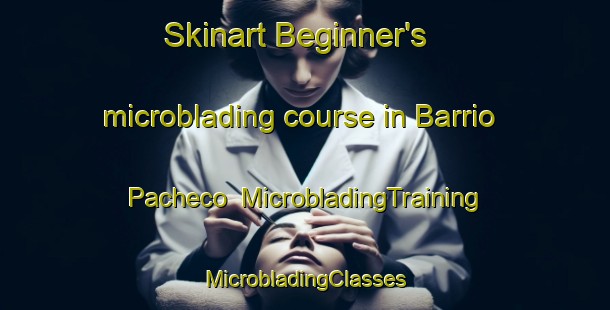 Skinart Beginner's microblading course in Barrio Pacheco | #MicrobladingTraining #MicrobladingClasses #SkinartTraining-Mexico