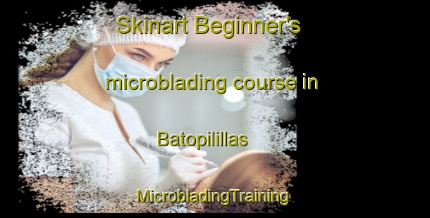 Skinart Beginner's microblading course in Batopilillas | #MicrobladingTraining #MicrobladingClasses #SkinartTraining-Mexico