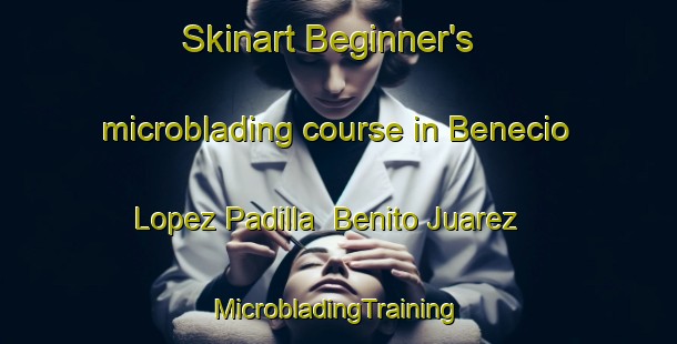 Skinart Beginner's microblading course in Benecio Lopez Padilla  Benito Juarez | #MicrobladingTraining #MicrobladingClasses #SkinartTraining-Mexico