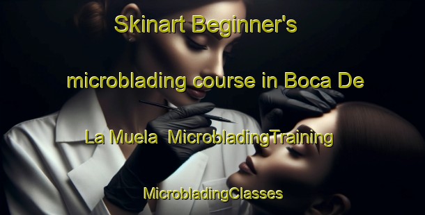 Skinart Beginner's microblading course in Boca De La Muela | #MicrobladingTraining #MicrobladingClasses #SkinartTraining-Mexico