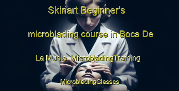 Skinart Beginner's microblading course in Boca De La Muela | #MicrobladingTraining #MicrobladingClasses #SkinartTraining-Mexico